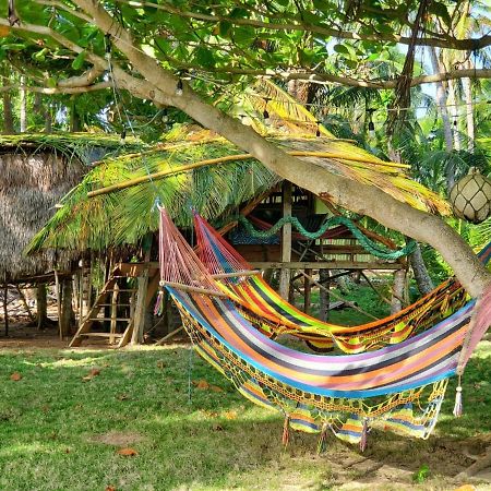 Derek'S Place Eco-Lodge Little Corn Island Exterior photo